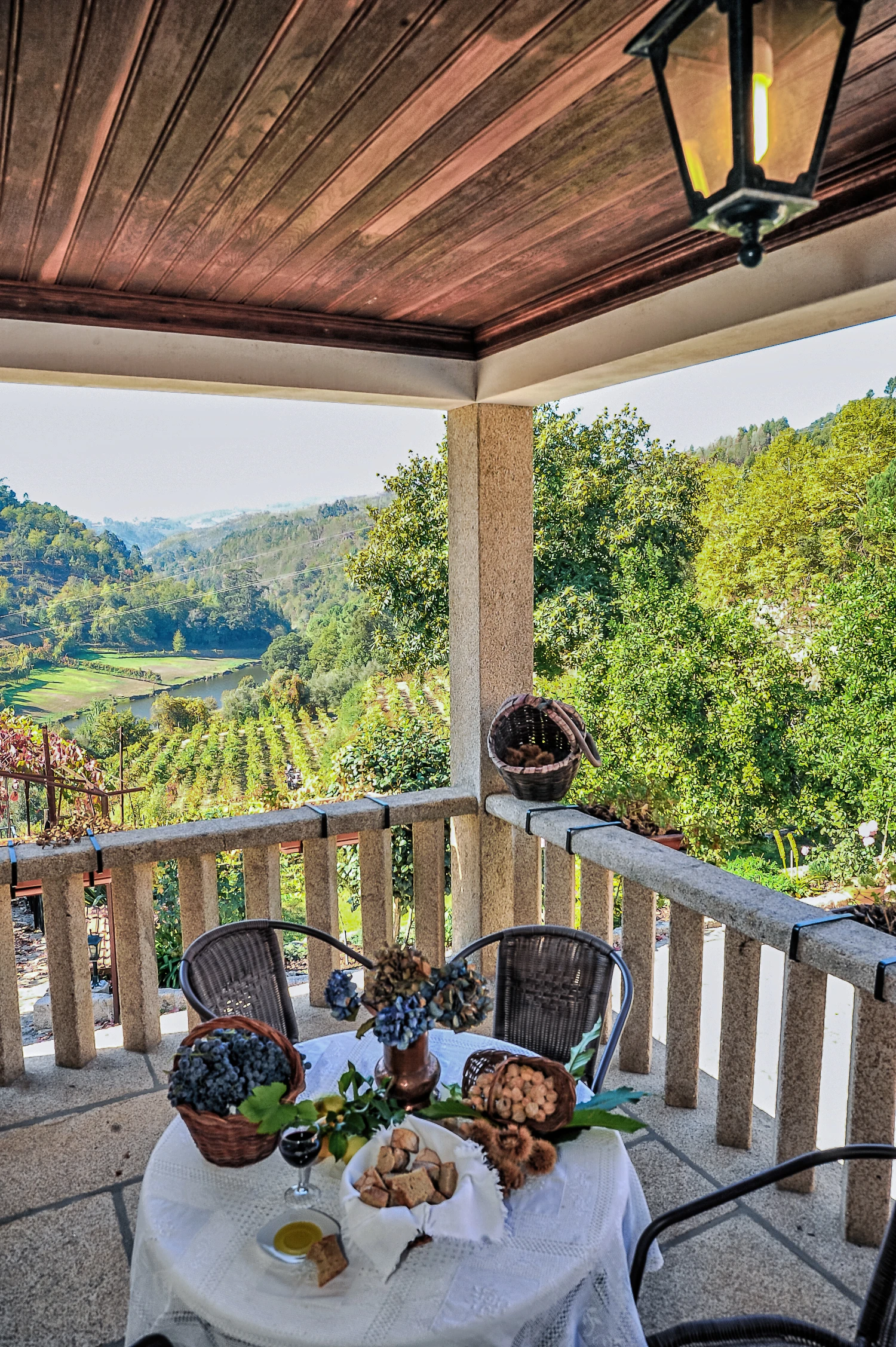 casa-do-carvalho